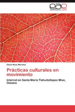 Könyv Practicas culturales en movimiento Nava Morales Elena