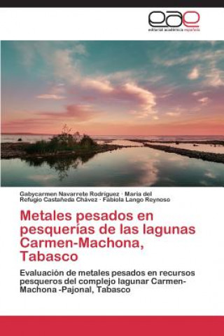 Carte Metales pesados en pesquerias de las lagunas Carmen-Machona, Tabasco Gabycarmen Navarrete Rodríguez