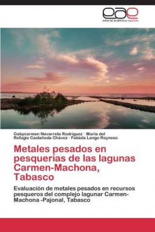 Book Metales pesados en pesquerias de las lagunas Carmen-Machona, Tabasco Gabycarmen Navarrete Rodríguez