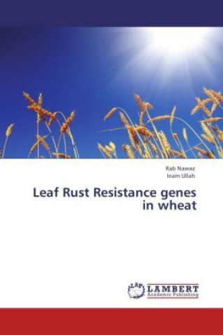 Kniha Leaf Rust Resistance genes in wheat Rab Nawaz