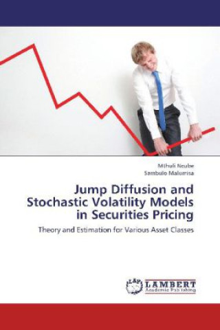 Kniha Jump Diffusion and Stochastic Volatility Models in Securities Pricing Mthuli Ncube