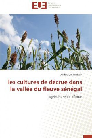 Kniha Les Cultures de D crue Dans La Vall e Du Fleuve S n gal Abdoul Aziz Ndiath