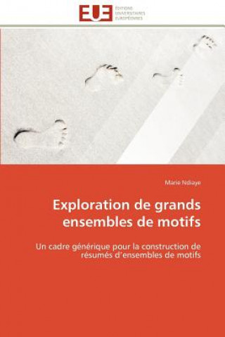 Kniha Exploration de Grands Ensembles de Motifs Marie NDiaye