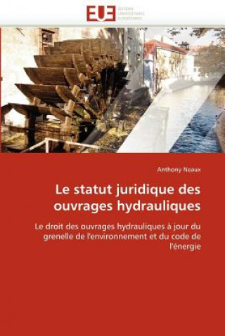 Carte Statut Juridique Des Ouvrages Hydrauliques Anthony Neaux