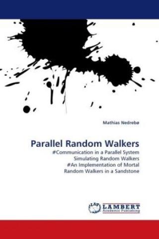 Libro Parallel Random Walkers Mathias Nedrebø