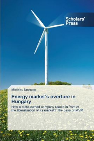 Carte Energy Market's Overture in Hungary Matthieu Nevicato