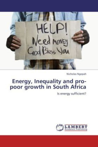 Könyv Energy, Inequality and pro-poor growth in South Africa Nicholas Ngepah