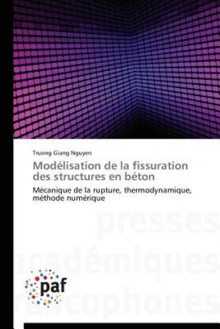 Buch Modelisation de la Fissuration Des Structures En Beton Truong Giang Nguyen