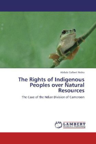 Kniha The Rights of Indigenous Peoples over Natural Resources Abilabi Colbert Nicko