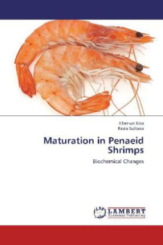 Buch Maturation in Penaeid Shrimps Kher-un Nisa