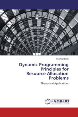 Книга Dynamic Programming Principles for Resource Allocation Problems Charles Nkeki