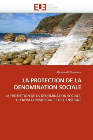 Könyv Protection de la Denomination Sociale Abdourofe Numonov