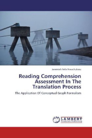 Knjiga Reading Comprehension Assessment In The Translation Process Jeremiah Felix Nwachukwu