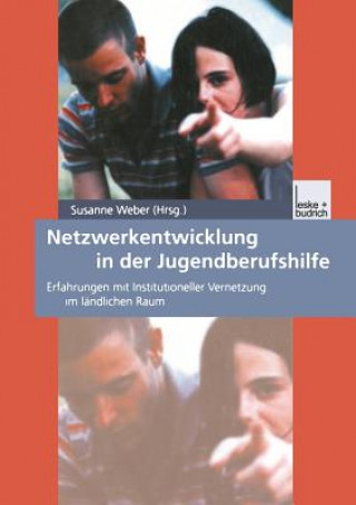 Kniha Netzwerkentwicklung in Der Jugendberufshilfe Susanne Maria Weber