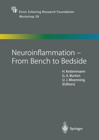 Kniha Neuroinflammation - From Bench to Bedside G. Burton