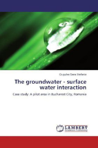 Book The groundwater - surface water interaction Ciugulea Oana Stefania