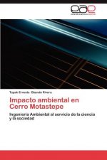 Könyv Impacto Ambiental En Cerro Motastepe Tupak Ernesto Obando Rivera
