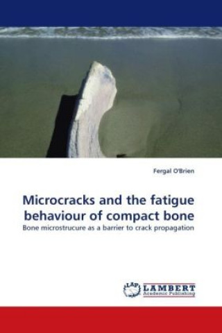 Carte Microcracks and the fatigue behaviour of compact bone Fergal O'Brien