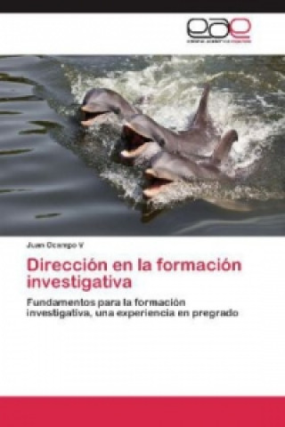 Kniha Direccion en la formacion investigativa Juan Ocampo V