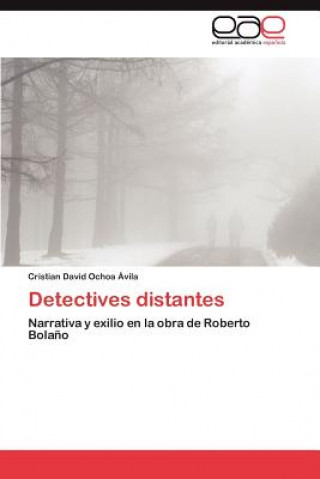 Buch Detectives distantes Cristian David Ochoa Ávila