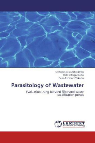 Könyv Parasitology of Wastewater Ocheme Julius Okojokwu