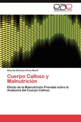 Kniha Cuerpo Calloso y Malnutricion Ricardo Olivares Pérez-Montt