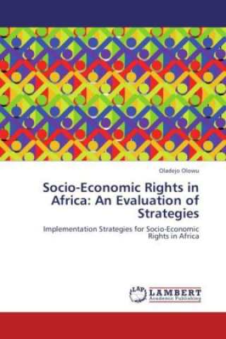 Könyv Socio-Economic Rights in Africa: An Evaluation of Strategies Oladejo Olowu