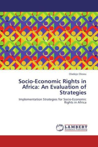 Libro Socio-Economic Rights in Africa: An Evaluation of Strategies Oladejo Olowu