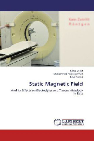 Könyv Static Magnetic Field Saida Omer
