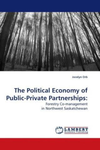 Kniha The Political Economy of Public-Private Partnerships: Jocelyn Orb