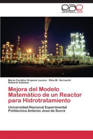 Kniha Mejora del Modelo Matematico de un Reactor para Hidrotratamiento Oropeza Lucena Maria Carolina