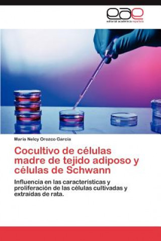 Könyv Cocultivo de celulas madre de tejido adiposo y celulas de Schwann María Nelcy Orozco García