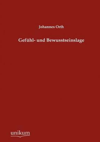 Kniha Gefuhl- und Bewusstseinslage Johannes Orth