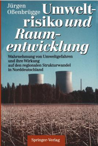 Kniha Umweltrisiko und Raumentwicklung Jürgen Oßenbrügge