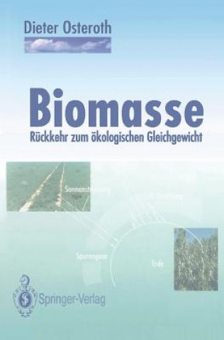 Buch Biomasse Dieter Osteroth