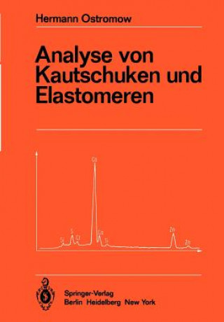 Könyv Analyse von Kautschuken und Elastomeren Hermann Ostromow