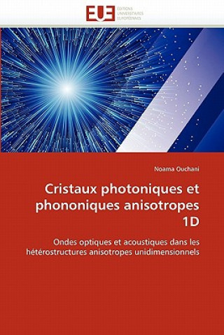 Książka Cristaux Photoniques Et Phononiques Anisotropes 1d Noama Ouchani