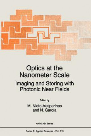 Livre Optics at the Nanometer Scale N. García