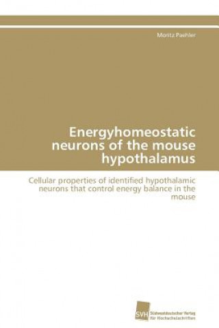 Kniha Energyhomeostatic neurons of the mouse hypothalamus Moritz Paehler