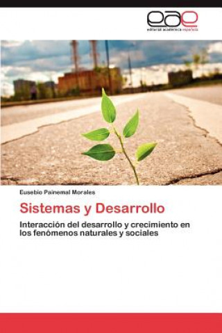 Książka Sistemas y Desarrollo Eusebio Painemal Morales