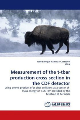 Kniha Measurement of the t-tbar production cross section in the CDF detector Jose Enrique Palencia Cortezón