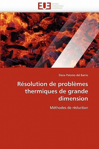 Carte Resolution de problemes thermiques de grande dimension Elena Palomo del Barrio