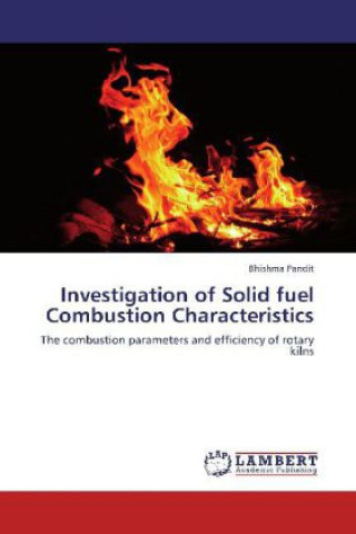 Kniha Investigation of Solid fuel Combustion Characteristics Bhishma Pandit