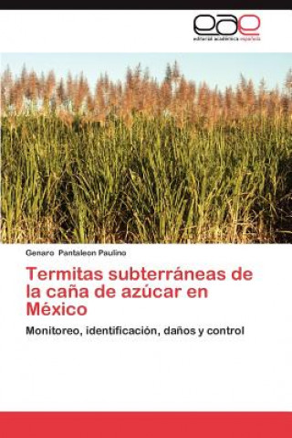 Carte Termitas Subterraneas de La Cana de Azucar En Mexico Genaro Pantaleon Paulino