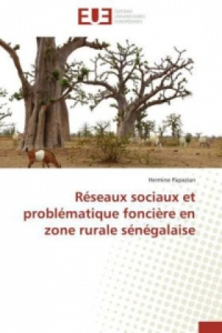 Buch Réseaux sociaux et problématique foncière en zone rurale sénégalaise Hermine Papazian