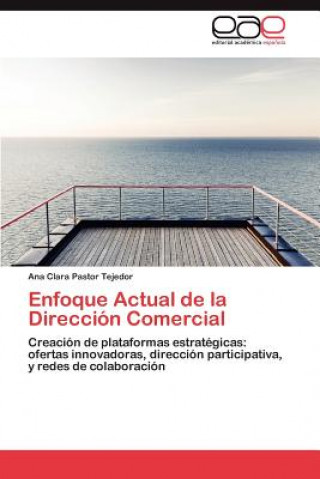 Buch Enfoque Actual de La Direccion Comercial Ana Clara Pastor Tejedor