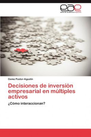 Kniha Decisiones de inversion empresarial en multiples activos Gema Pastor-Agustín