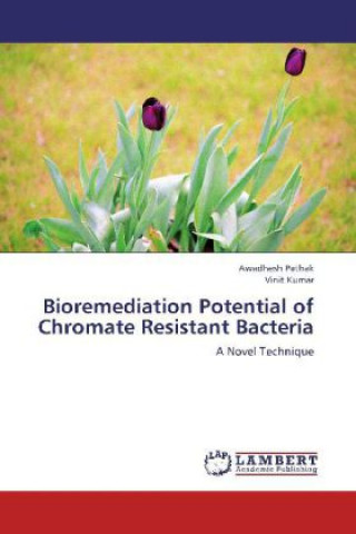 Kniha Bioremediation Potential of Chromate Resistant Bacteria Awadhesh Pathak