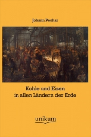 Buch Kohle und Eisen in allen Ländern der Erde Johann Pechar