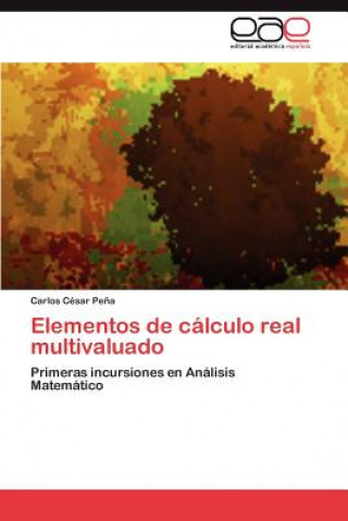 Книга Elementos de Calculo Real Multivaluado Carlos C Pe a